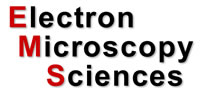 EMS logo