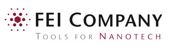 FEI logo