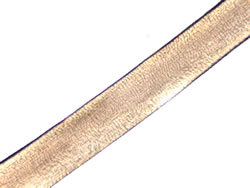 human hair (bright field)