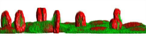mitotic spindles